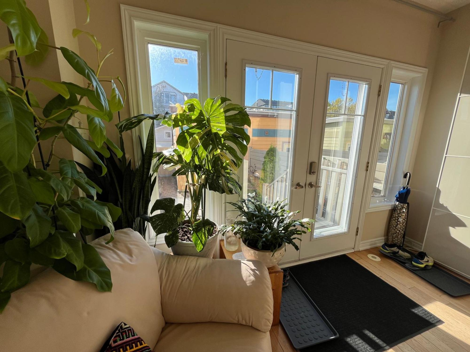 Stunning Rooms In Townhouse Across The Beach Toronto Exteriér fotografie